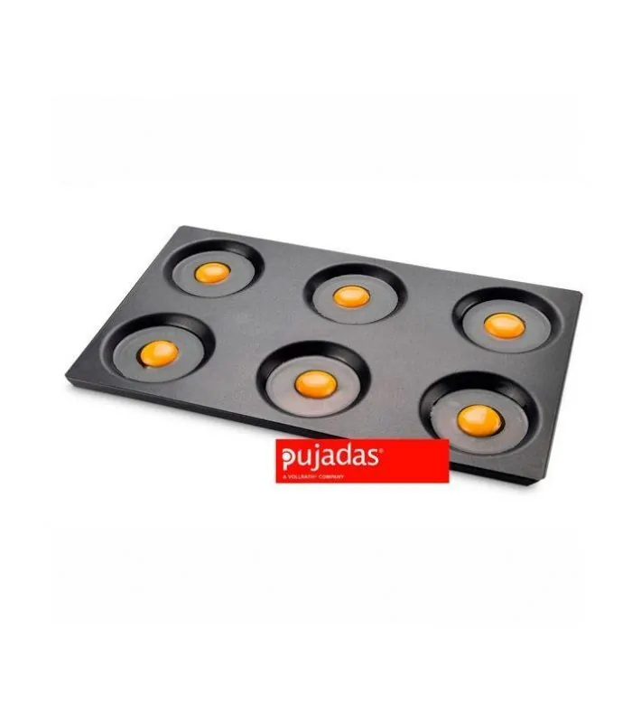 Bandeja multiunidades