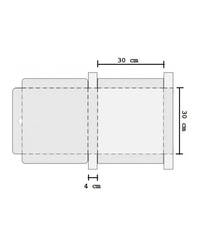 Caja desechable de pizza 30cm