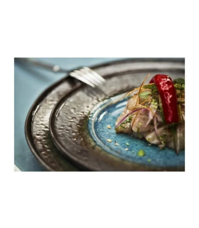 Platos azules Vista Alegre