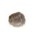 Tognana plato hondo Reef Marine 23cm