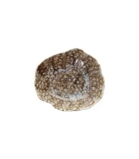 Tognana plato hondo Reef Marine 23cm