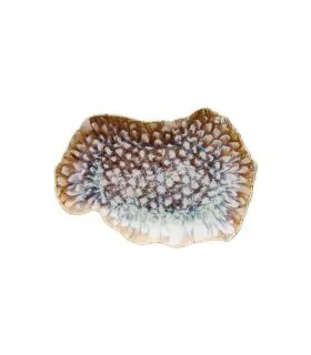 Tognana bandeja oval Reef Marine 30cm