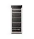 Giona vinoteca CVG 100 botellas