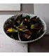Presentacion del coupe terrazo green de dudson