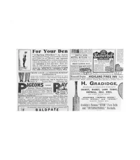 Papel garcia de pou antigrasas times 20 x 12