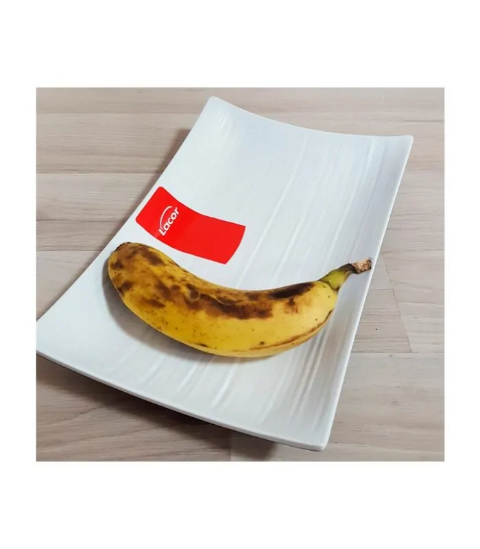 Fuente rectangular de melamina Lacor