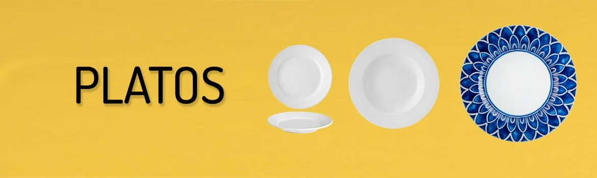 platos-para-hosteler-a-de-dise-o-moderno